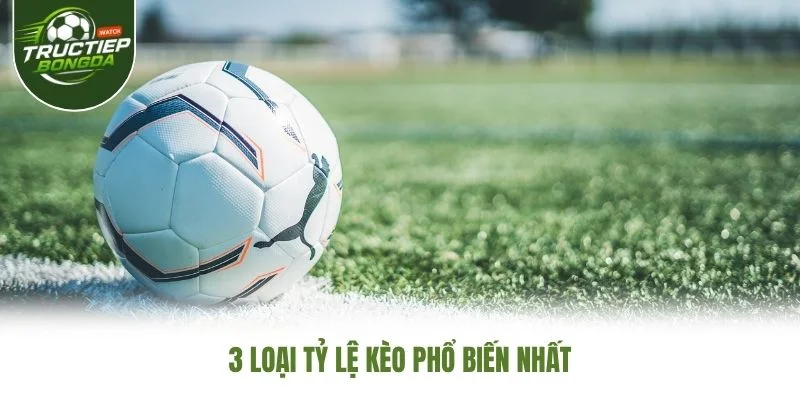 3 loại tỷ lệ kèo phổ biến nhất