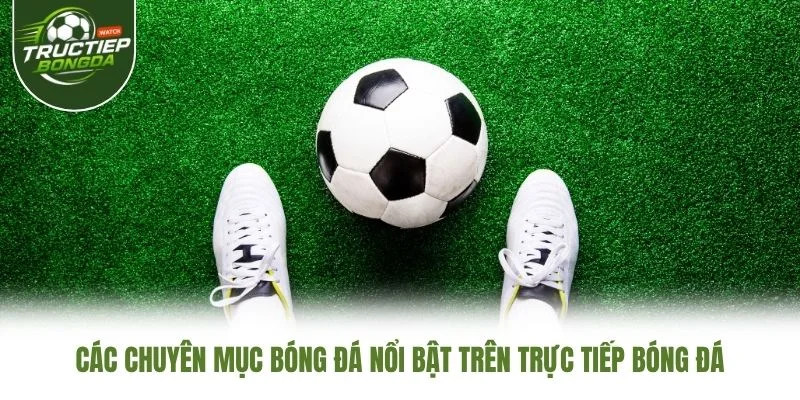 Các chuyên mục bóng đá nổi bật trên Trực Tiếp Bóng Đá