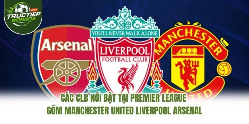 Các CLB nổi bật tại Premier League gồm Manchester United Liverpool Arsenal Các CLB nổi bật tại Premier League gồm Manchester United Liverpool Arsenal