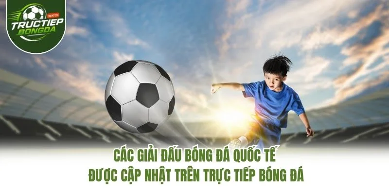 Các giải đấu bóng đá quốc tế được cập nhật trên Trực Tiếp Bóng Đá
