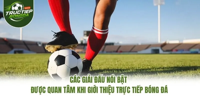 Các giải đấu nổi bật được quan tâm khi giới thiệu Trực Tiếp Bóng Đá