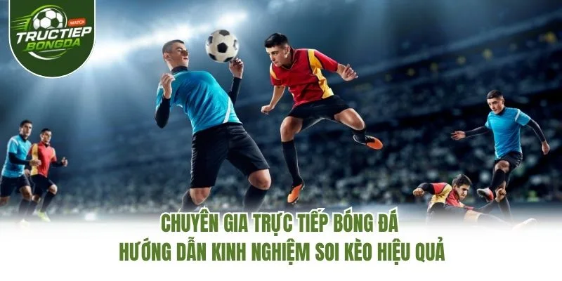 Chuyên gia Trực Tiếp Bóng Đá hướng dẫn kinh nghiệm soi kèo hiệu quả Chuyên gia Trực Tiếp Bóng Đá hướng dẫn kinh nghiệm soi kèo hiệu quả