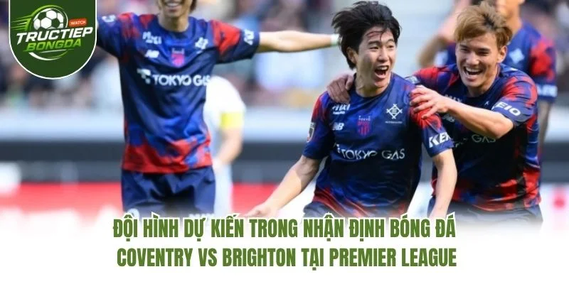 Đội hình dự kiến trong nhận định bóng đá Coventry vs Brighton tại Premier League Đội hình dự kiến trong nhận định bóng đá Coventry vs Brighton tại Premier League