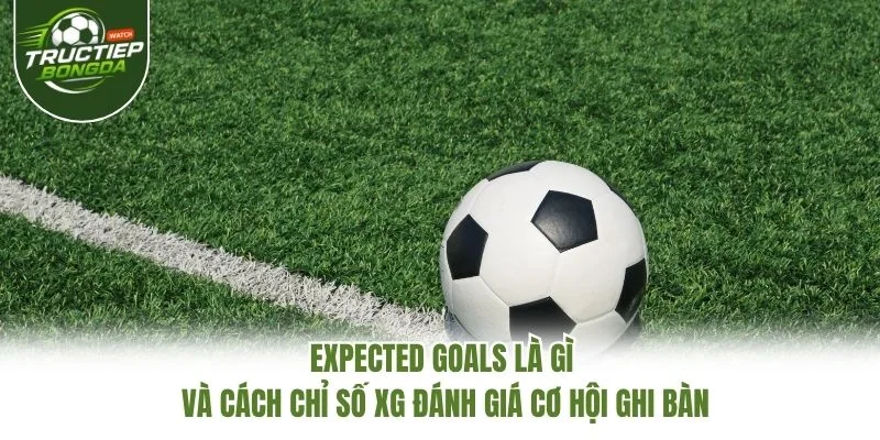 Expected Goals là gì và cách chỉ số xG đánh giá cơ hội ghi bàn Expected Goals là gì và cách chỉ số xG đánh giá cơ hội ghi bàn