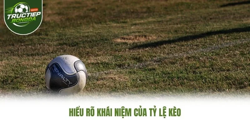 Hiểu rõ khái niệm của tỷ lệ kèo