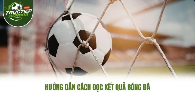 Hướng dẫn cách đọc kết quả bóng đá