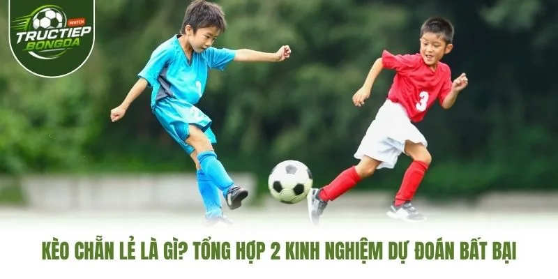 Kèo Chẵn Lẻ Là Gì? Tổng Hợp 2 Kinh Nghiệm Dự Đoán Bất Bại