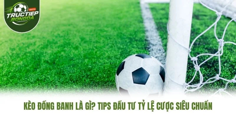 Kèo Đồng Banh Là Gì? Tips Đầu Tư Tỷ Lệ Cược Siêu Chuẩn