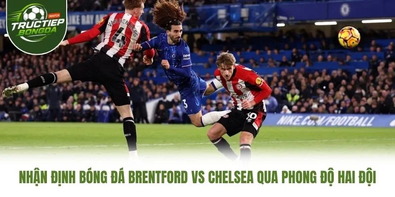 Nhận định bóng đá Brentford vs Chelsea qua phong độ hai đội Nhận định bóng đá Brentford vs Chelsea qua phong độ hai đội
