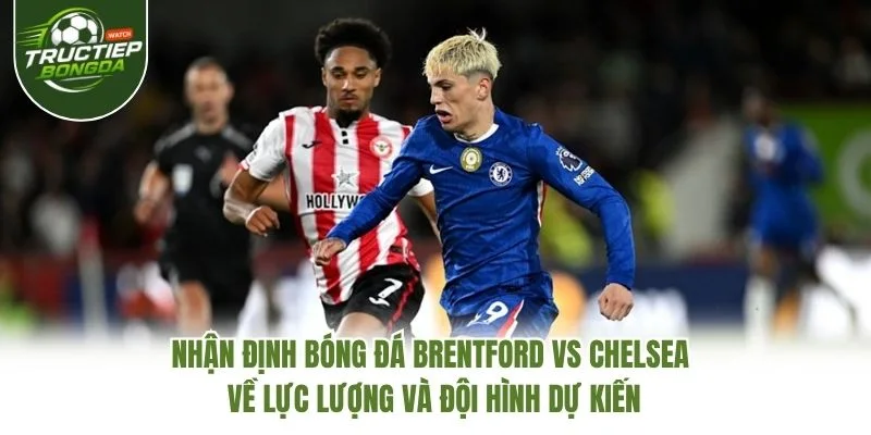 Nhận định bóng đá Brentford vs Chelsea về lực lượng và đội hình dự kiến Nhận định bóng đá Brentford vs Chelsea về lực lượng và đội hình dự kiến