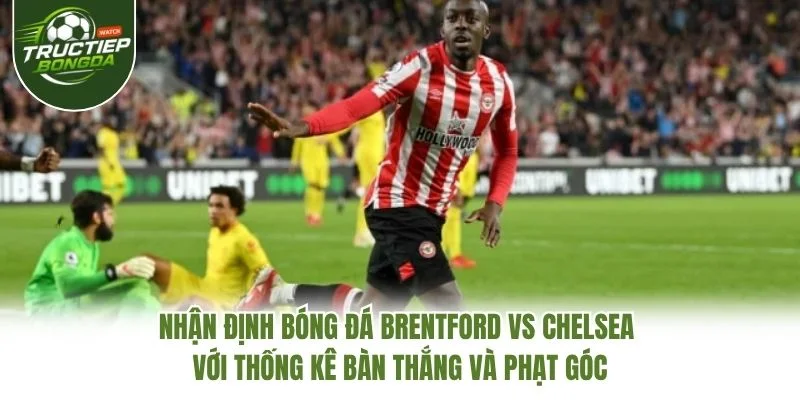 Nhận định bóng đá Brentford vs Chelsea với thống kê bàn thắng và phạt góc Nhận định bóng đá Brentford vs Chelsea với thống kê bàn thắng và phạt góc