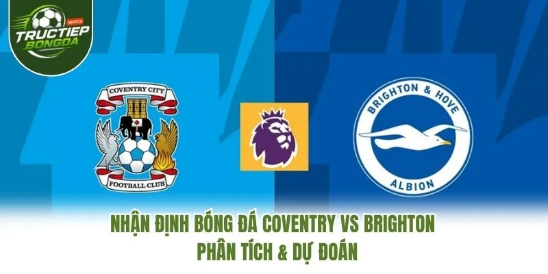 Nhận Định Bóng Đá Coventry Vs Brighton – Phân Tích & Dự Đoán
