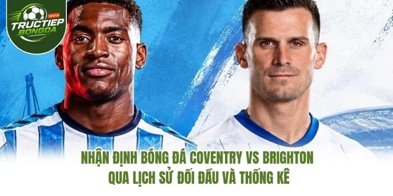 Nhận định bóng đá Coventry vs Brighton qua lịch sử đối đầu và thống kê Nhận định bóng đá Coventry vs Brighton qua lịch sử đối đầu và thống kê
