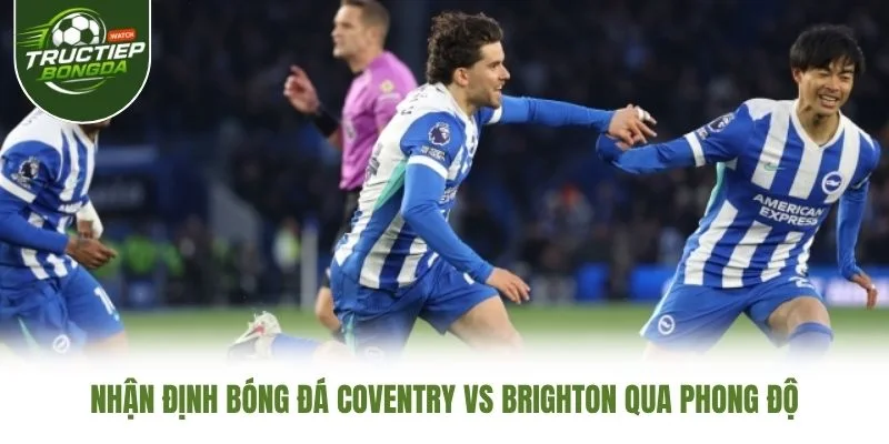 Nhận định bóng đá Coventry vs Brighton qua phong độ Nhận định bóng đá Coventry vs Brighton qua phong độ
