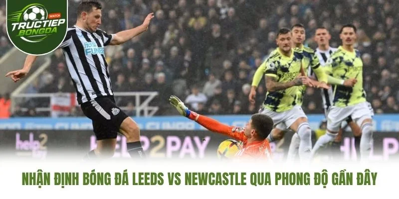 Nhận định bóng đá Leeds vs Newcastle qua phong độ gần đây Nhận định bóng đá Leeds vs Newcastle qua phong độ gần đây