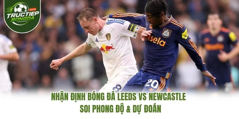 Nhận Định Bóng Đá Leeds Vs Newcastle – Soi Phong Độ & Dự Đoán