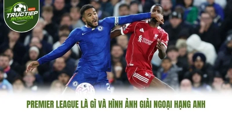 Premier League là gì và hình ảnh giải Ngoại hạng Anh Premier League là gì và hình ảnh giải Ngoại hạng Anh
