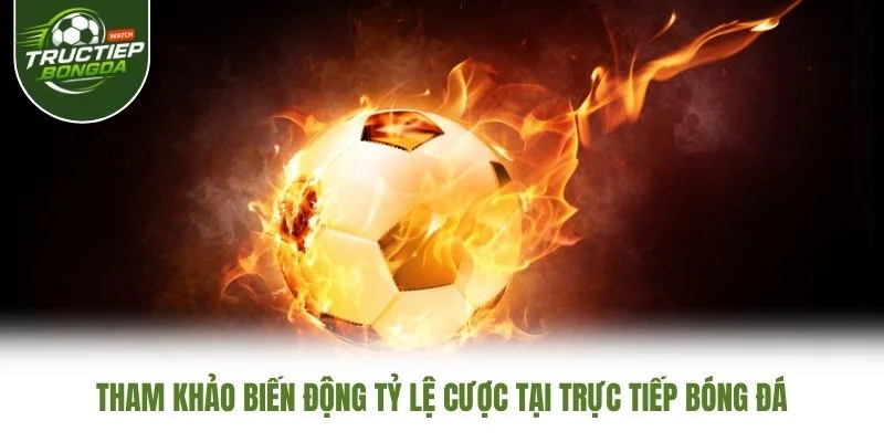 Tham khảo biến động tỷ lệ cược tại Trực Tiếp Bóng Đá Tham khảo biến động tỷ lệ cược tại Trực Tiếp Bóng Đá