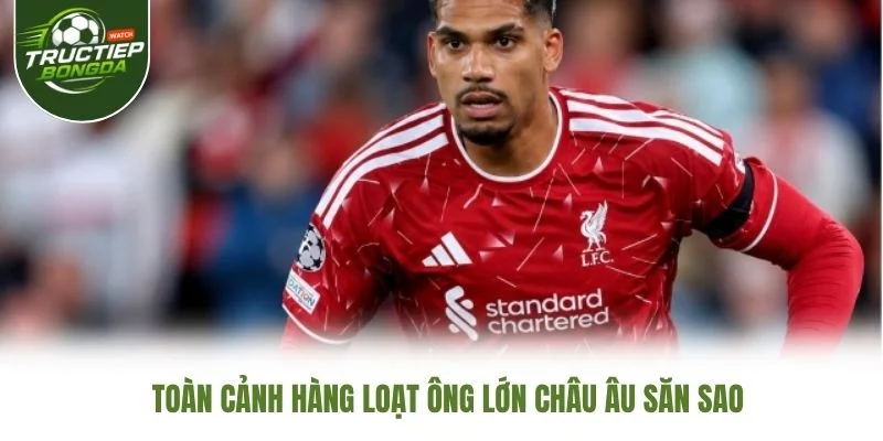 Toàn cảnh hàng loạt ông lớn châu Âu săn sao Toàn cảnh hàng loạt ông lớn châu Âu săn sao