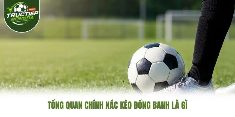 Tổng quan chính xác kèo đồng banh là gì Tổng quan chính xác kèo đồng banh là gì