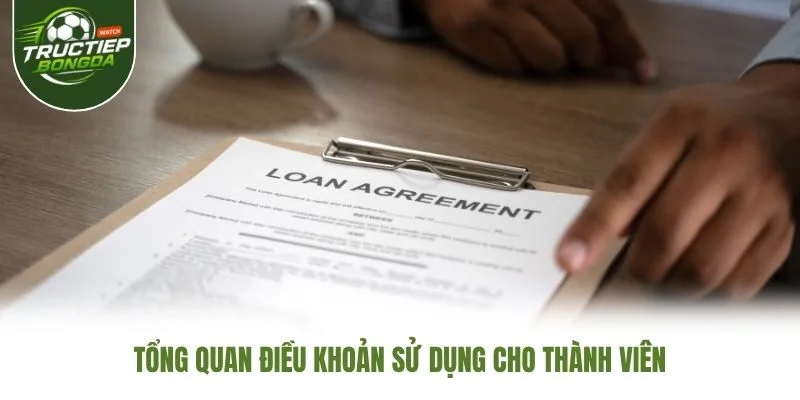 Tổng quan điều khoản sử dụng cho thành viên