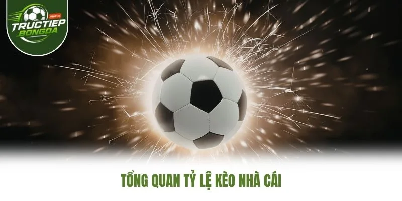 Tổng quan tỷ lệ kèo nhà cái Tổng quan tỷ lệ kèo nhà cái