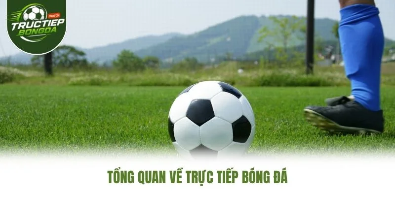 Tổng quan về Trực Tiếp Bóng Đá