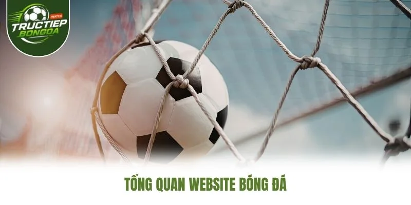 Tổng quan website Bóng Đá
