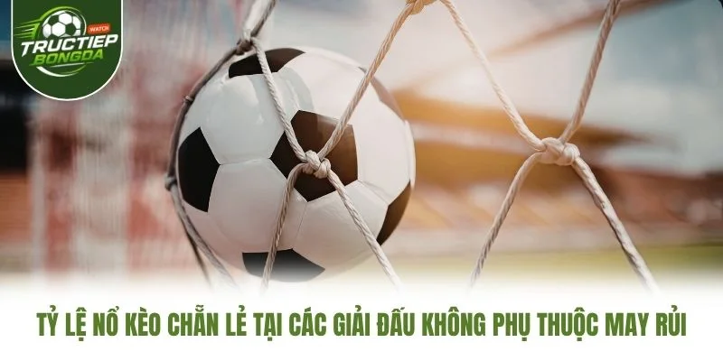 Tỷ lệ nổ kèo chẵn lẻ tại các giải đấu không phụ thuộc may rủi Tỷ lệ nổ kèo chẵn lẻ tại các giải đấu không phụ thuộc may rủi